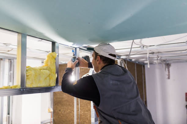 Best Garage Insulation Installation  in Carthage, TX