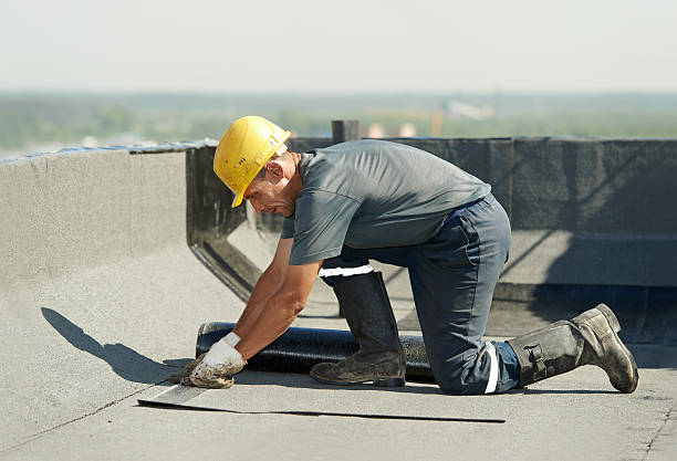 Best Blown-in Insulation  in Carthage, TX