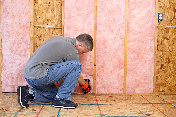 Best Insulation Inspection Services  in Carthage, TX
